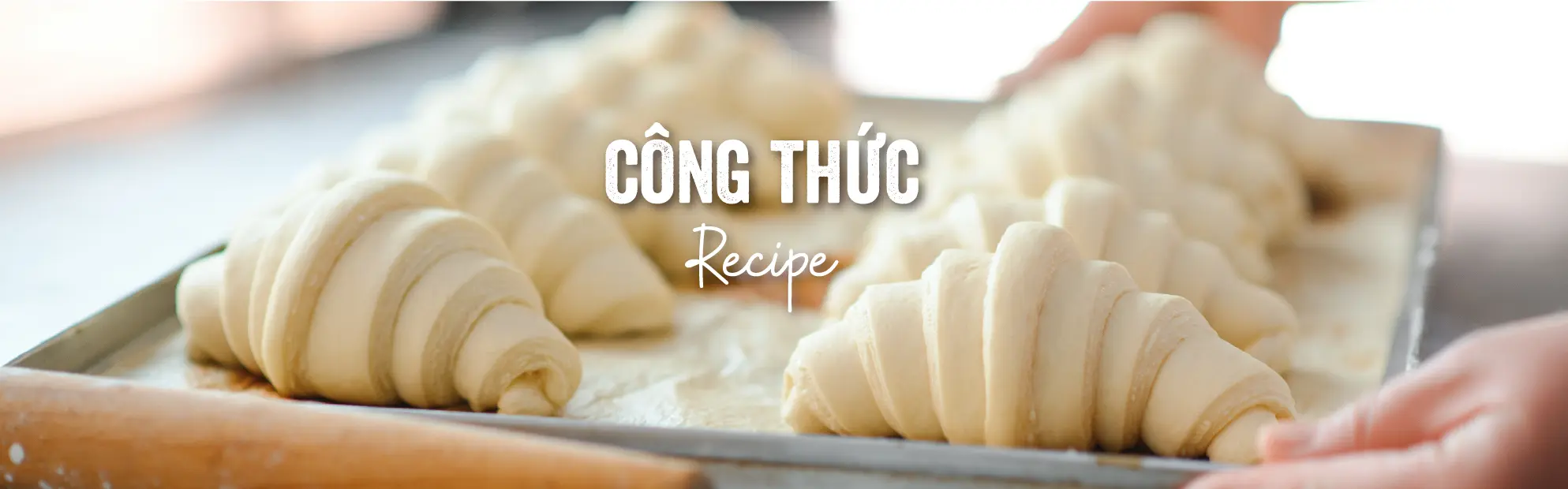 Banner chính Bột mì xe đạp 1